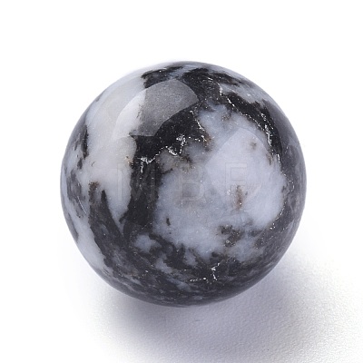 Natural Zebra Jasper Beads G-L564-004-F01-1