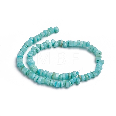 Shell Beads Strands X-BSHE-G026-02A-1