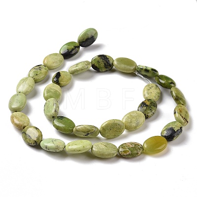 Natural Serpentine Beads Strands G-N166-23-1