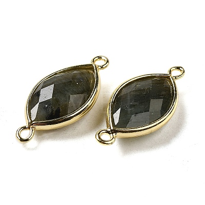 Natural Labradorite Faceted Connector Charms G-K347-03G-04-1