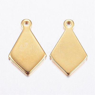 304 Stainless Steel Charms STAS-P142-10G-1