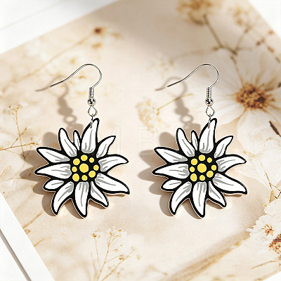 Iron & Acrylic Dangle Earrings for Women WGF0FCA-01-1