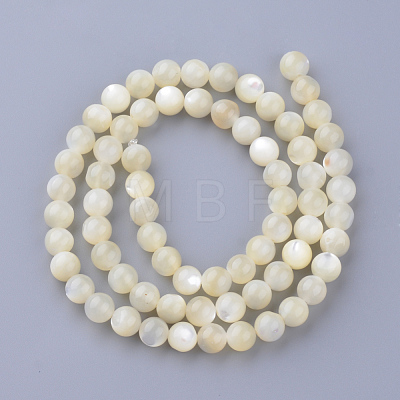 Natural Sea Shell Beads Strands X-SSHEL-S252-03-1