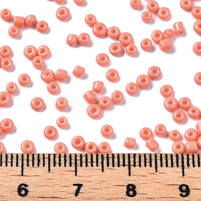 Glass Seed Beads SEED-S060-A-F419-1