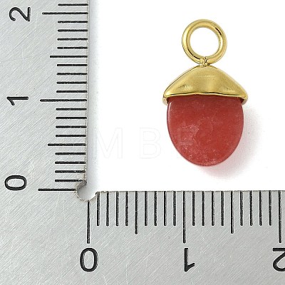 304 Stainless Steel Natural Carnelian(Dyed & Heated) Pendants STAS-L277-07G-08-1