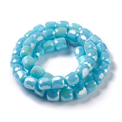 Electroplate Opaque Glass Beads GLAA-F108-10A-04-1