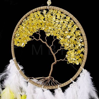 Iron Woven Web/Net with Feather Pendant Decorations AJEW-B017-12-1