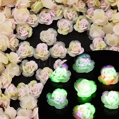 Luminous Resin Decoden Cabochons RESI-K036-54-1