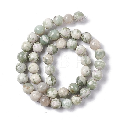 Natural Peace Jade Beads Strands X-G-G905-07-1