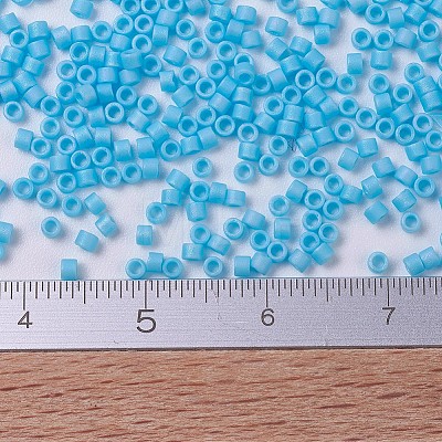 MIYUKI Delica Beads Small X-SEED-J020-DBS0879-1
