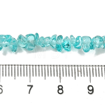 Transparent Glass Beads Strands GLAA-P060-01C-19-1