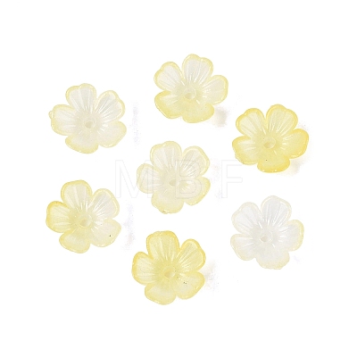 Transparent Plastic Bead Caps KY-Q005-02A-02-1