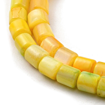 Natural Freshwater Shell Beads Strands SHEL-F008-04E-1