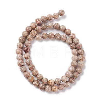 Natural Maifanite/Maifan Stone Beads Strands G-P451-01B-B-1