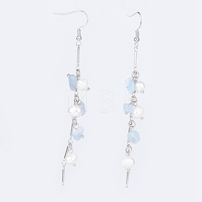 Natural Gemstone Dangle Earrings EJEW-JE02733-1