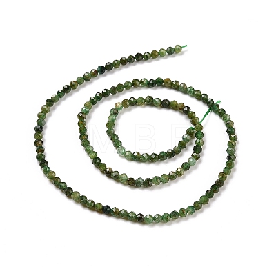 Natural Fuchsite Beads Strands G-C009-A14-1