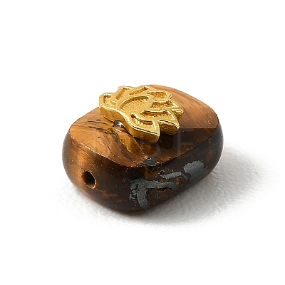 Natural Tiger Eye Beads KK-D262-01G-02-1