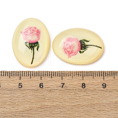 Transparent Resin Cabochons RESI-K033-11A-1