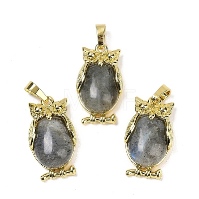 Natural Labradorite Pendant KK-F887-02G-09-1