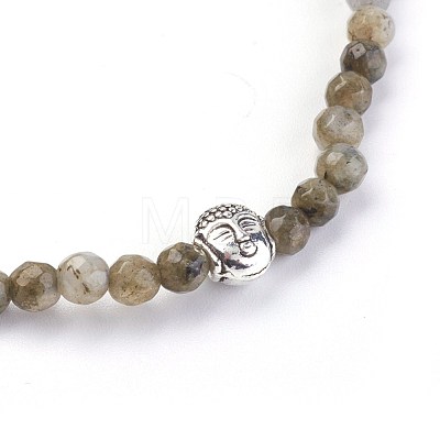 Natural Labradorite Stretch Bracelets BJEW-JB03939-01-1