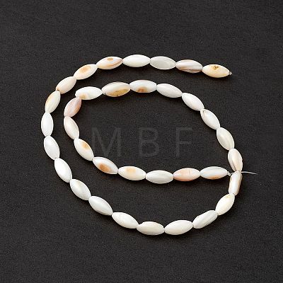 Natural Freshwater Shell Dyed Beads Strands SHEL-M018-13-13-1