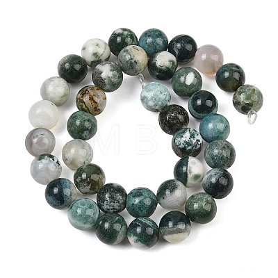 Natural Tree Agate Beads Strands G-I199-03-10mm-1