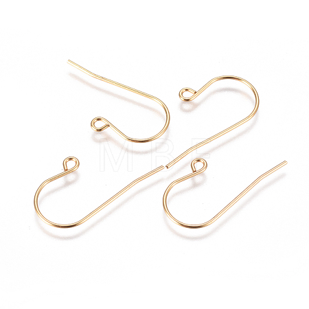304 Stainless Steel Earring Hooks STAS-F227-29-G-1