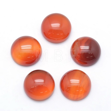 Natural Carnelian Cabochons X-G-P393-R41-12mm-1