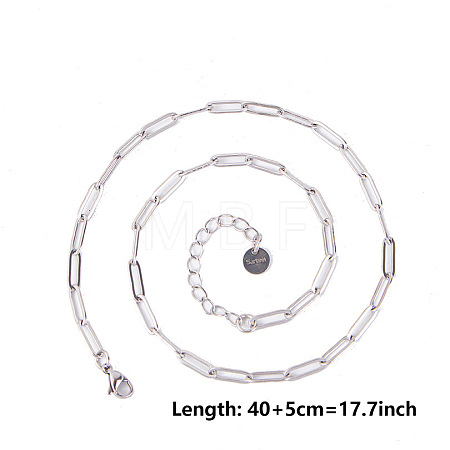 Non-Tarnish 4MM Unisex 304 Stainless Steel Paperclip Chains Necklaces AU9647-1-1