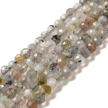 Natural Labradorite Beads Strands G-I341-11-1