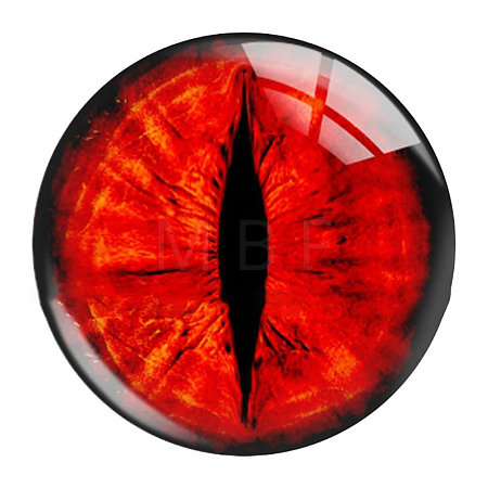 Mixed Animal Eye Pattern Glass Cabochons AJEW-WH0070-08C-1