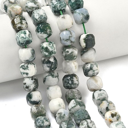 Natural Tree Agate Beads Strands G-C267-A18-1