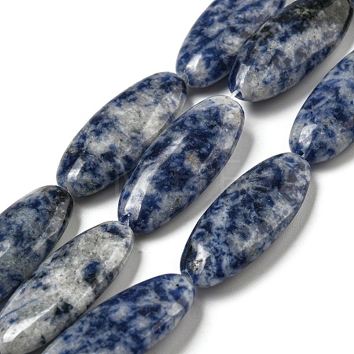 Natural Blue Spot Jasper Beads Strands G-B078-E07-01-1