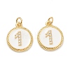 Brass Micro Pave Clear Cubic Zirconia Charms ZIRC-I052-16G-01-2