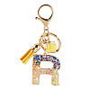 Alloy Resin Polygon Keychains KEYC-TADJ0002-03G-R-1