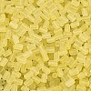 FGB Frosted Transparent Glass Seed Beads SEED-N013-05A-02-3