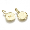 Alloy Pendants LS-X-PALLOY-N157-004M-NR-2