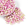 Glass Seed Beads SEED-T009-02A-2