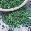 MIYUKI Delica Beads X-SEED-J020-DB0877-1