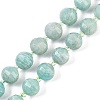 Natural Amazonite Beads Strands G-G182-B17-05-1