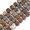 Natural Pietersite Beads Strands G-F832-A10-01-2