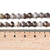 Natural Botswana Agate Beads Strands G-P611-C08-01-5