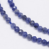 Natural Sodalite Bead Strands G-G936-2mm-19-3