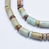 Natural Aqua Terra Jasper Beads Strands G-E444-18-3