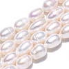 Natural Cultured Freshwater Pearl Beads Strands PEAR-N012-07R-4