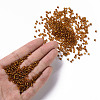 8/0 Glass Seed Beads X1-SEED-A005-3mm-22C-4