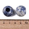 Natural Blue Spot Jasper Beads G-Q608-05H-3