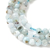 Natural Larimar Beads Strands G-L627-A01-2mm-4