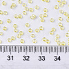 Glass Seed Beads SEED-S042-11A-05-4