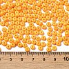 Baking Paint Glass Seed Beads SEED-B001-02A-17-4